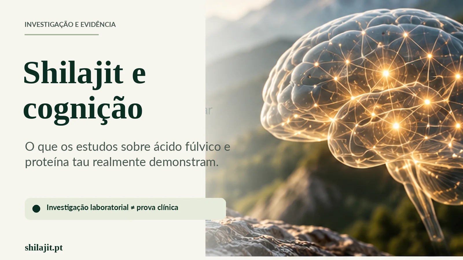 Ilustração de cérebro com conexões neurais; investigação laboratorial não é prova clínica