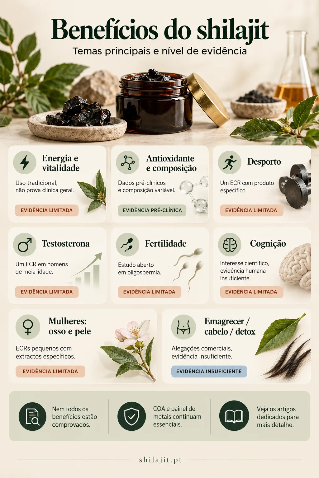 Infográfico: benefícios do shilajit — temas principais e nível de evidência (limitada, pré-clínica ou insuficiente)