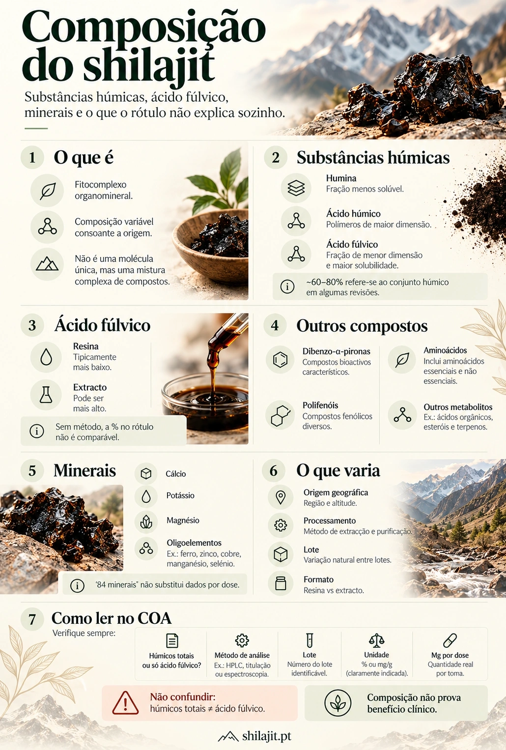 Infográfico: composição do shilajit, húmicos, fúlvico, minerais e leitura de rótulo