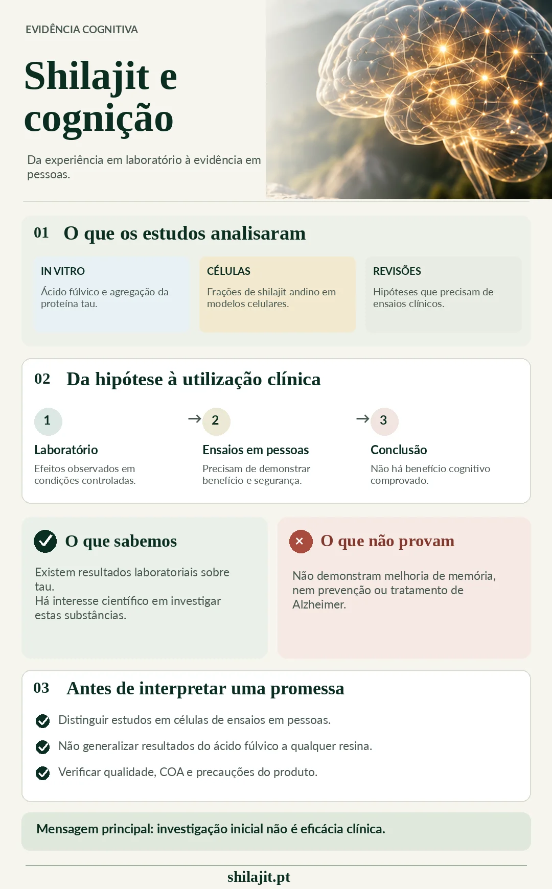 Infográfico: shilajit e cognição — in vitro, células, revisões e o que não está comprovado
