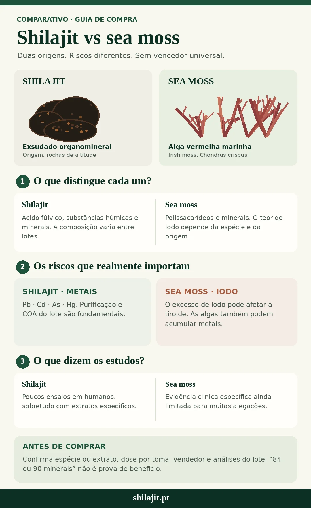 Infográfico: shilajit vs sea moss (musgo-irlandês) — origens, metais, iodo e guia de compra